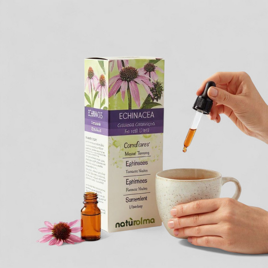 خلاصة نبات الاخناسيا (Echinacea) لدعم المناعة – 120 مل سبراي